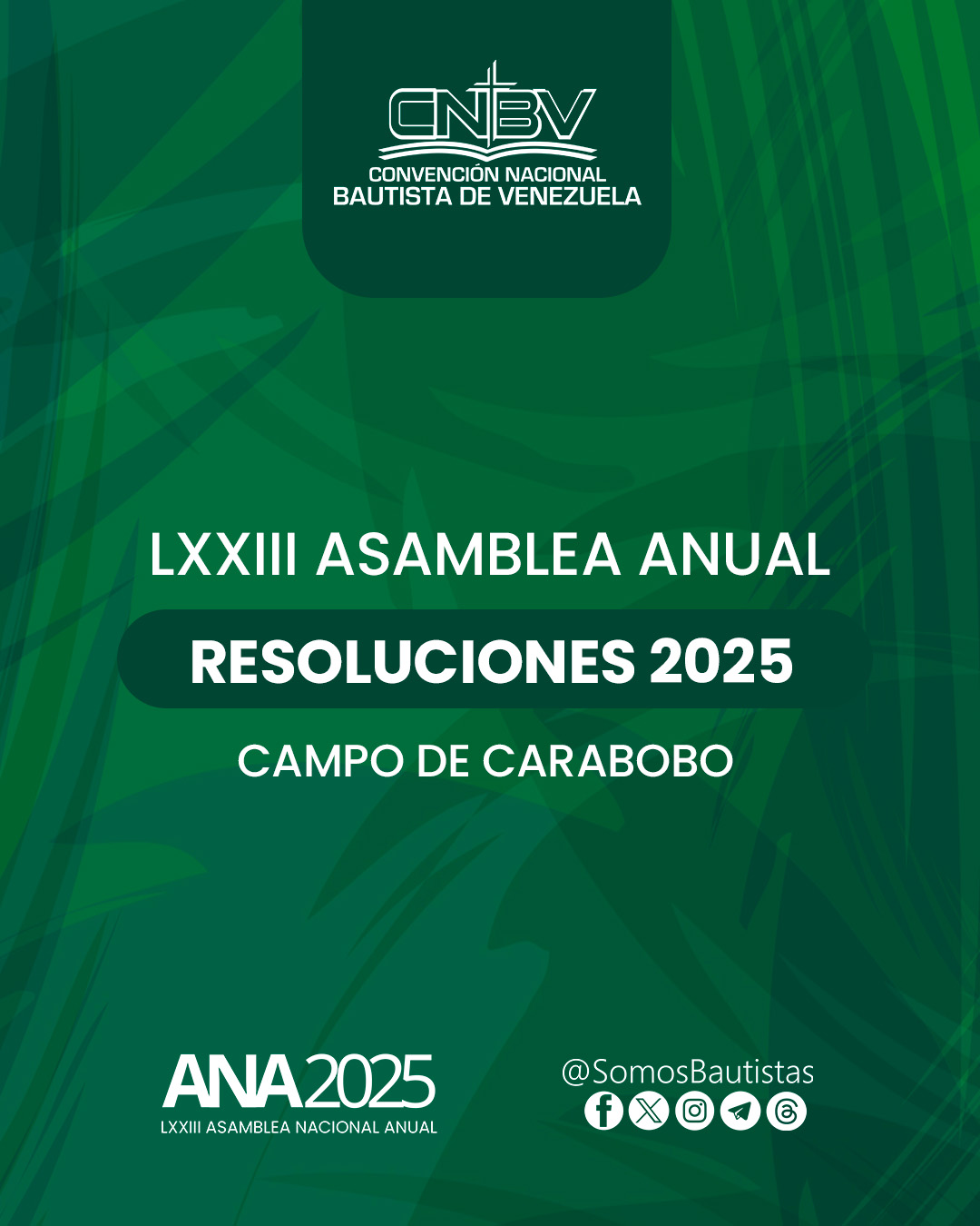 LXXIII ASAMBLEA ANUAL / RESOLUCIONES 2025